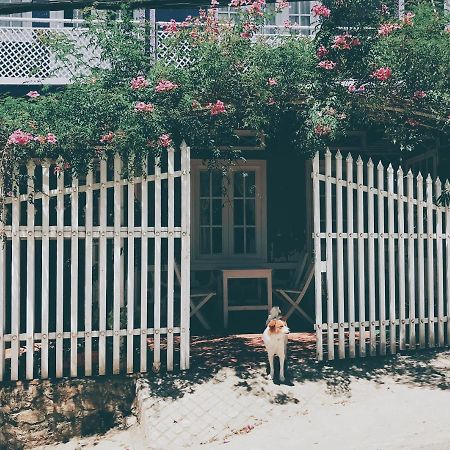 Nha Tim Homestay Da Lat Kültér fotó