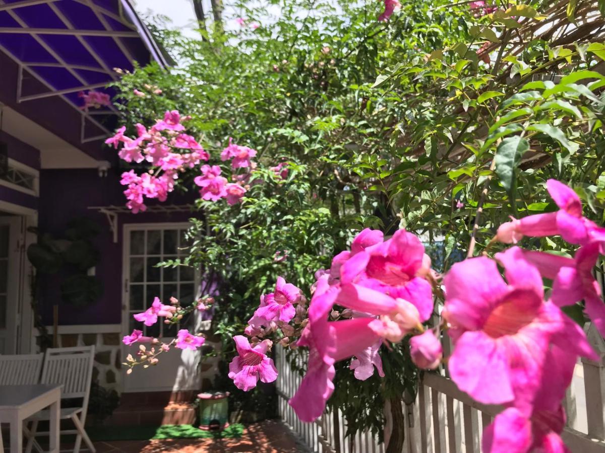 Nha Tim Homestay Da Lat Kültér fotó